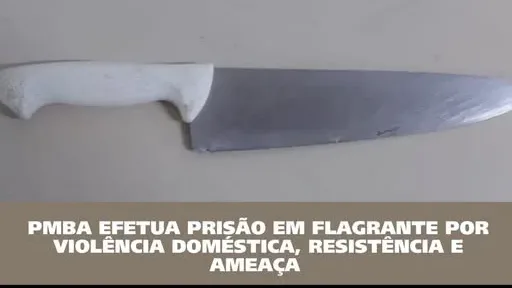 Policia Militar conduz homem por violência doméstica, ameaça e resistência em Alagoinhas