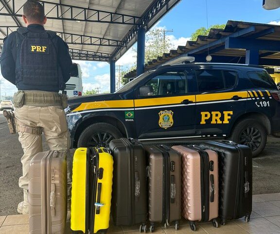 PRF apreende mais de 71 kg de maconha em ônibus na BR-116