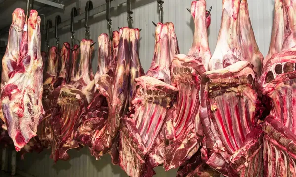 Cem quilos de carne com tuberculose bovina são apreendidos na Bahia