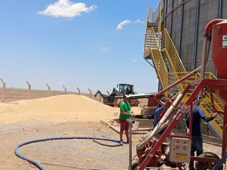 Trabalhador morre após cair em silo de soja em fazenda na Bahia; colega de trabalho sobreviveu