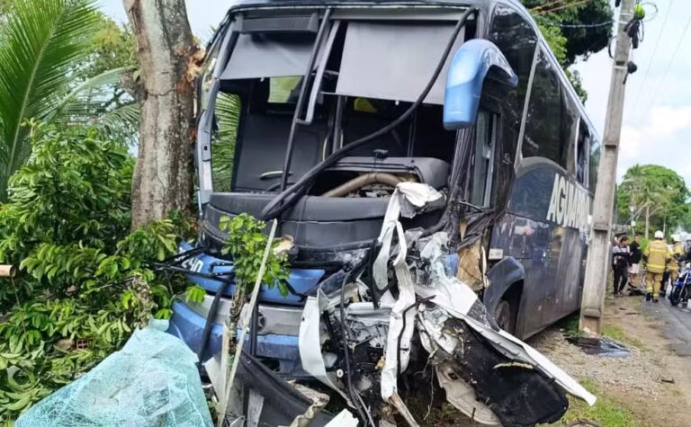 Acidente com ônibus na BR-415 deixa um morto e um ferido na Bahia